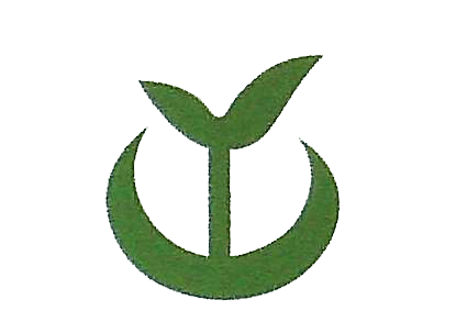 W2.png