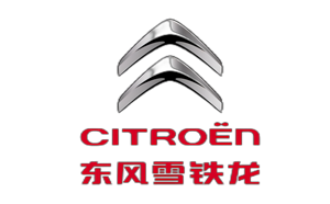 雪铁龙2.png